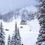 Alpen Arnika Tauplitzalm