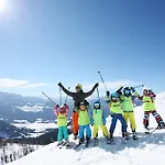 Alpen Arnika