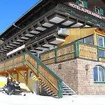 Alpen Arnika Tauplitzalm
