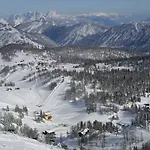 Alpen Arnika Tauplitzalm