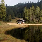 Alpen Arnika Tauplitzalm