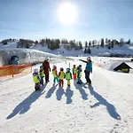 Alpen Arnika Tauplitzalm