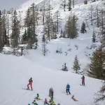 Alpen Arnika