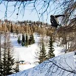 Alpen Arnika 3*