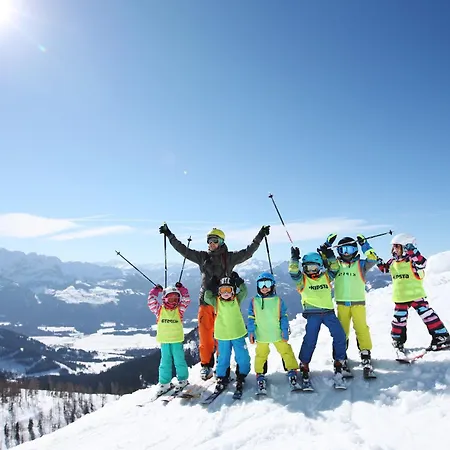 Alpen Arnika