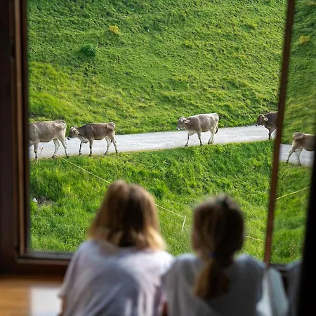 Alpen Arnika & Restaurant 3* Tauplitzalm