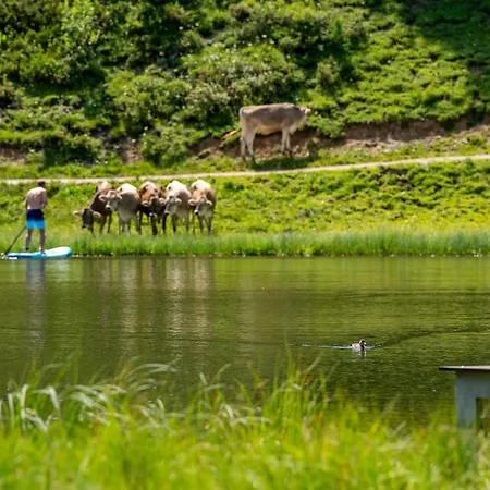 Alpen Arnika 3* Tauplitzalm