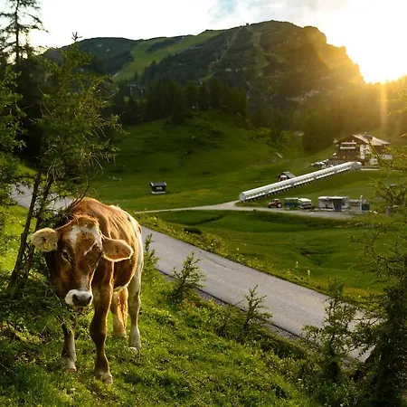 Alpen Arnika & Restaurant 3*