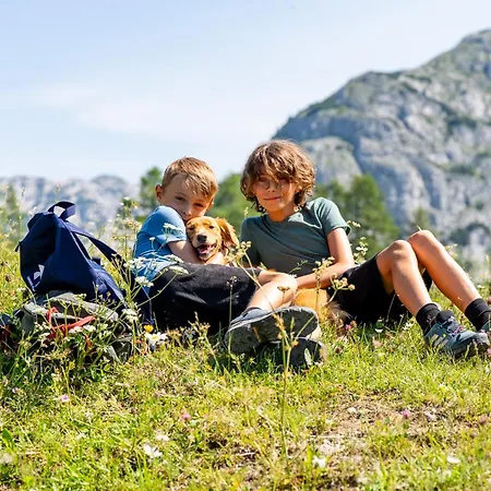 Szálloda Alpen Arnika & Restaurant 3*