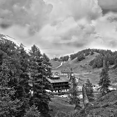 Alpen Arnika 3*