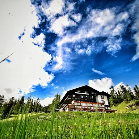 Alpen Arnika Tauplitzalm
