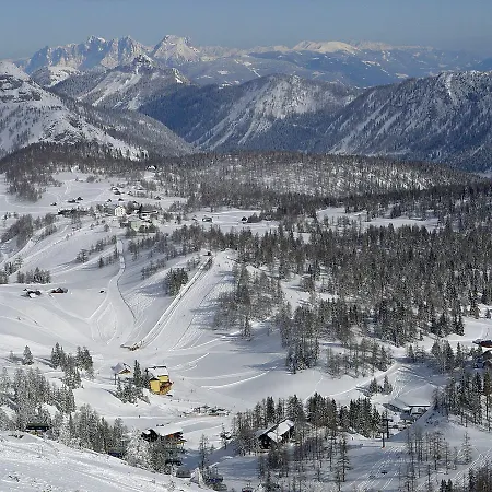 Alpen Arnika Tauplitzalm