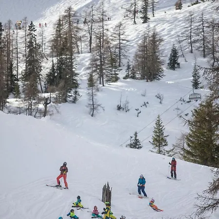 Alpen Arnika