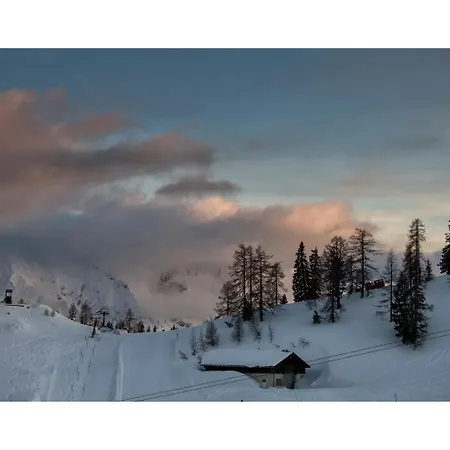 Alpen Arnika فندق Tauplitzalm
