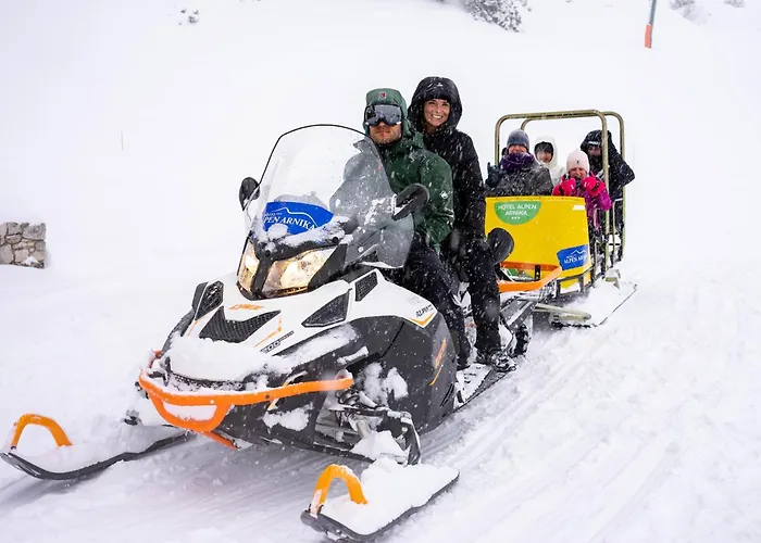 Alpen Arnika Tauplitzalm