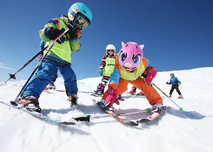 Alpen Arnika Tauplitzalm