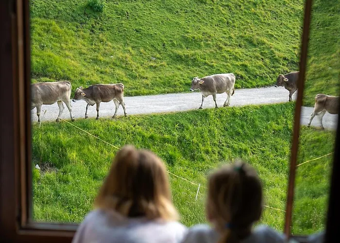 Alpen Arnika 3* Tauplitzalm