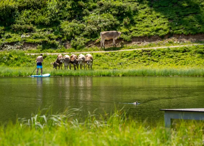 Alpen Arnika 3* Tauplitzalm