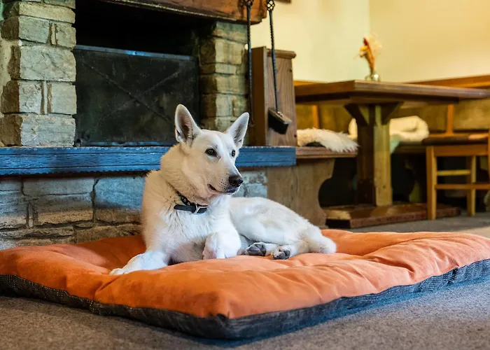 Alpen Arnika فندق