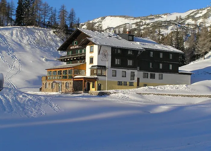 Alpen Arnika 3*
