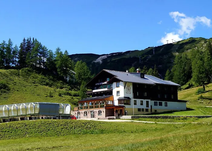 Alpen Arnika Tauplitzalm