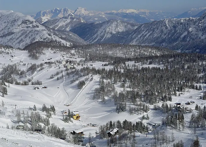 Alpen Arnika Tauplitzalm