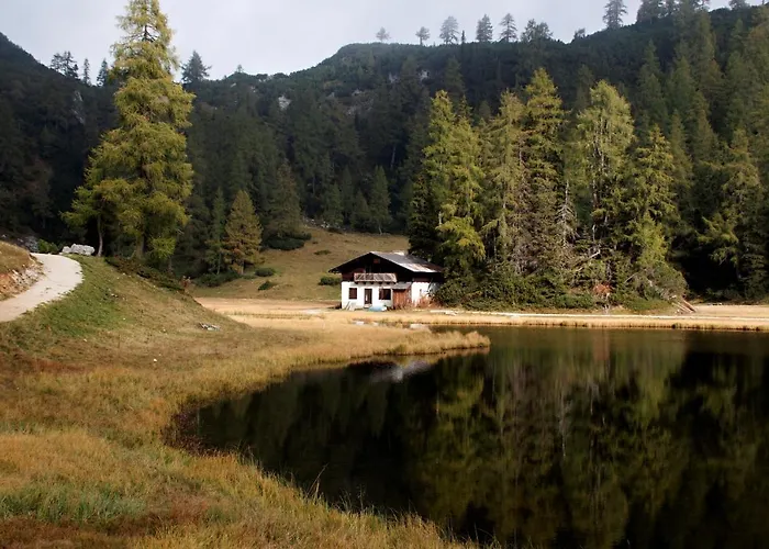 Alpen Arnika Tauplitzalm