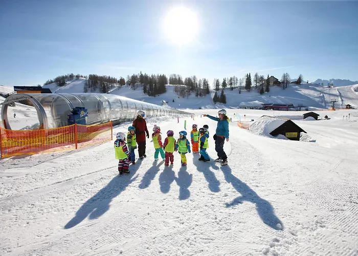 Alpen Arnika Tauplitzalm